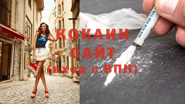 спиды Новозыбков