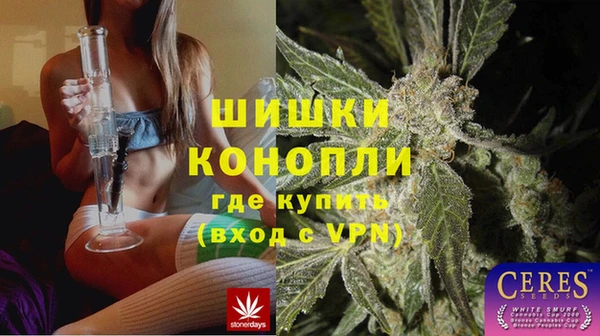 спиды Новозыбков