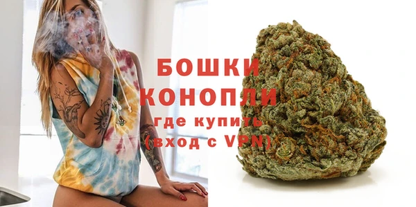 спиды Новозыбков