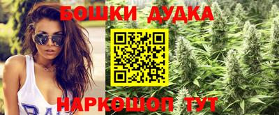 гидра Гусиноозёрск