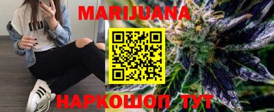 индика Гусев