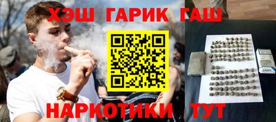 индика Гусев