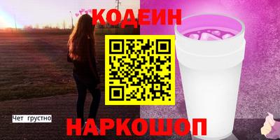 индика Гусев