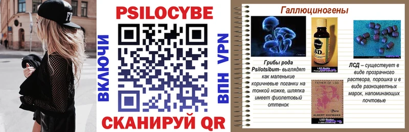 Псилоцибиновые грибы Psilocybe  ссылка на мегу зеркало  Кинешма  где купить наркоту 