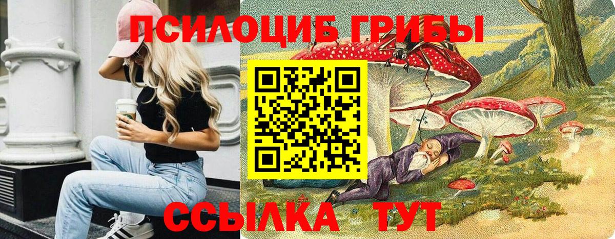 Галлюциногенные грибы прущие грибы Кинешма