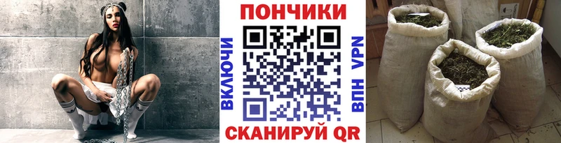 Бошки марихуана White Widow купить сайты кракен Кинешма